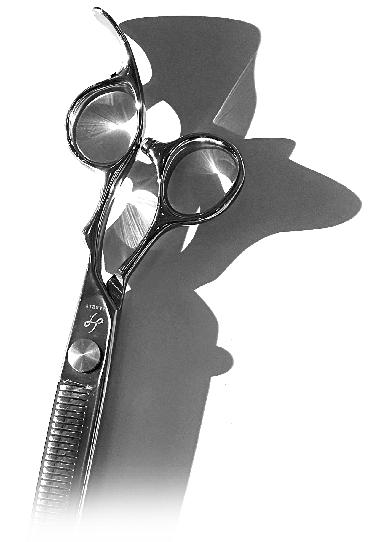SHOP_f92df526-b850-42e4-a482-dddc3cac8e54.png